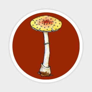 Fly Agaric Magnet